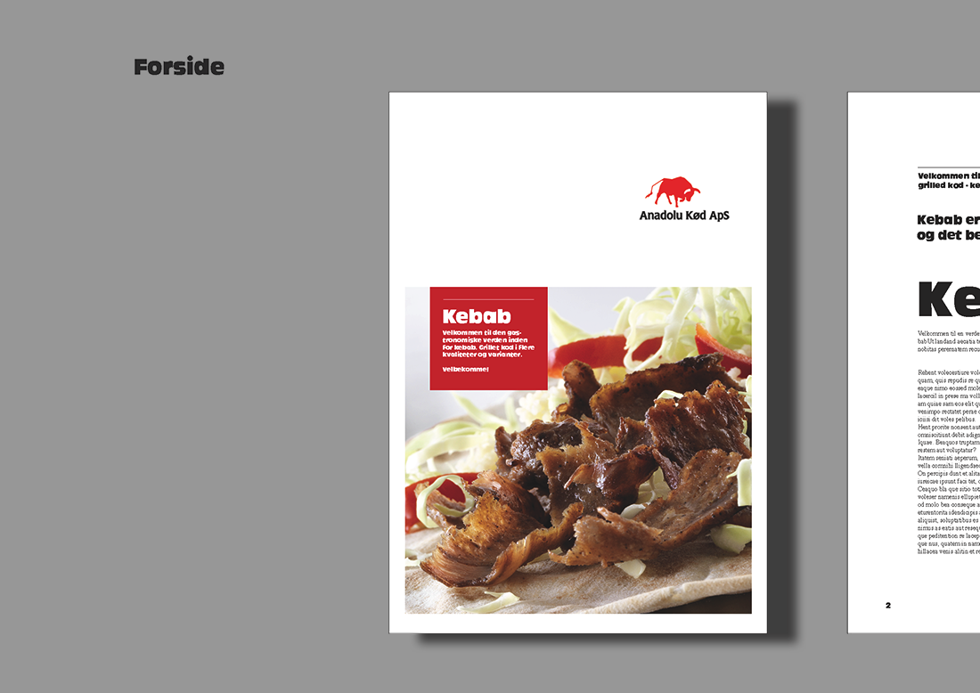 Kebab - grillet kød